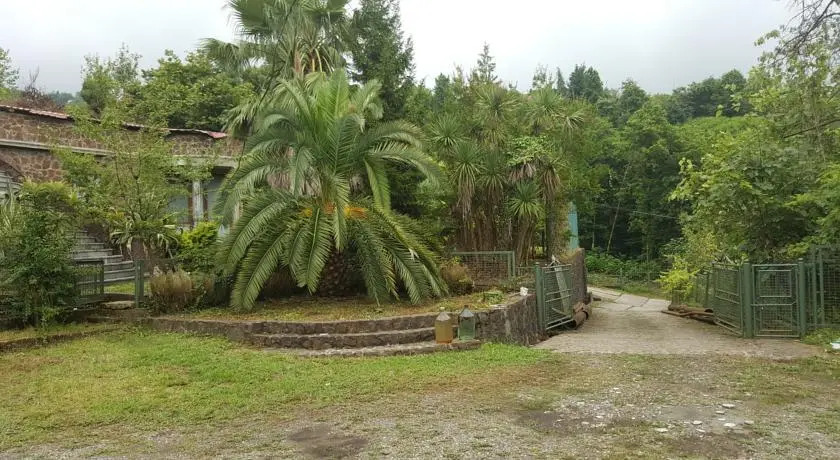Батуми: Bambarbia Guesthouse