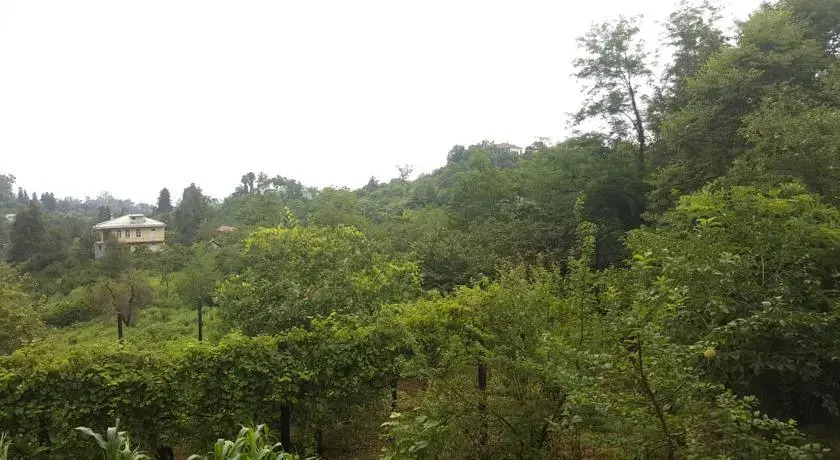 Батуми: Bambarbia Guesthouse