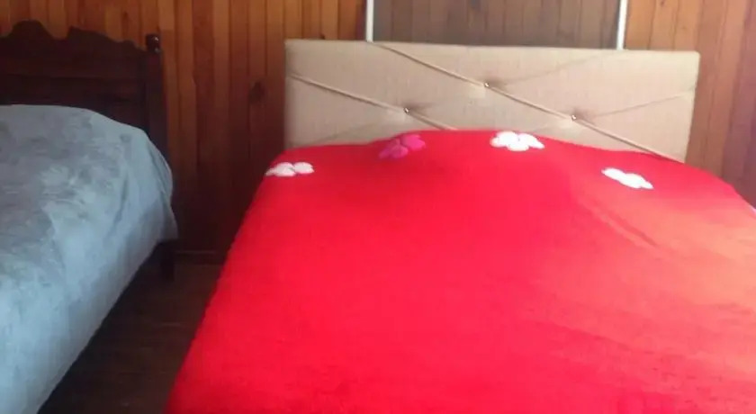 Батуми: Guest House Gatenadze