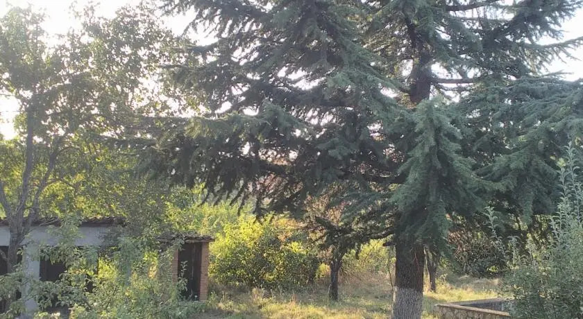Телави: Guest House Shuamta