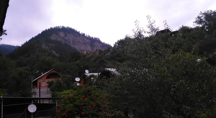 Боржоми: Guesthouse “Nika”