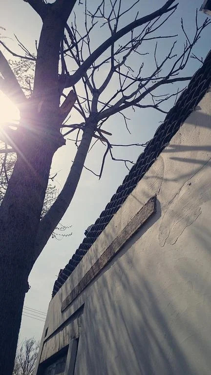 Циньхуандао: Beidaihe Wenbo Plaza
