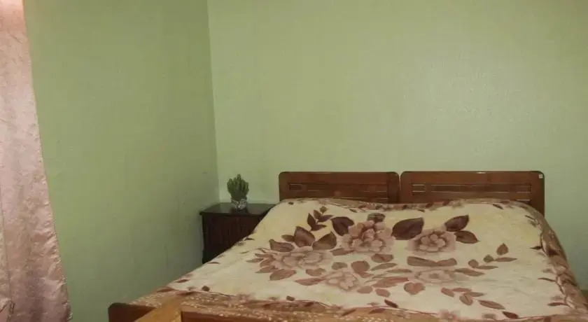 Боржоми: Guest House Kostava