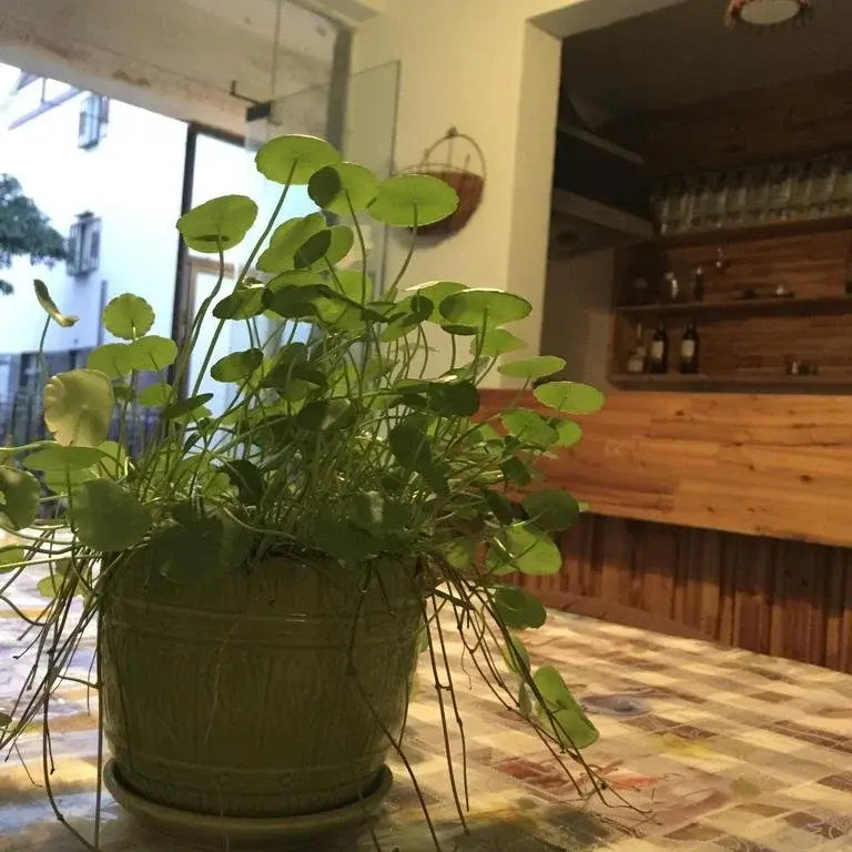Бэйхай: Cozy Time Hostel