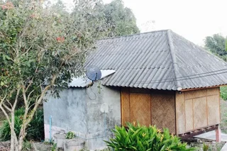 Паи: Eastern Peace House