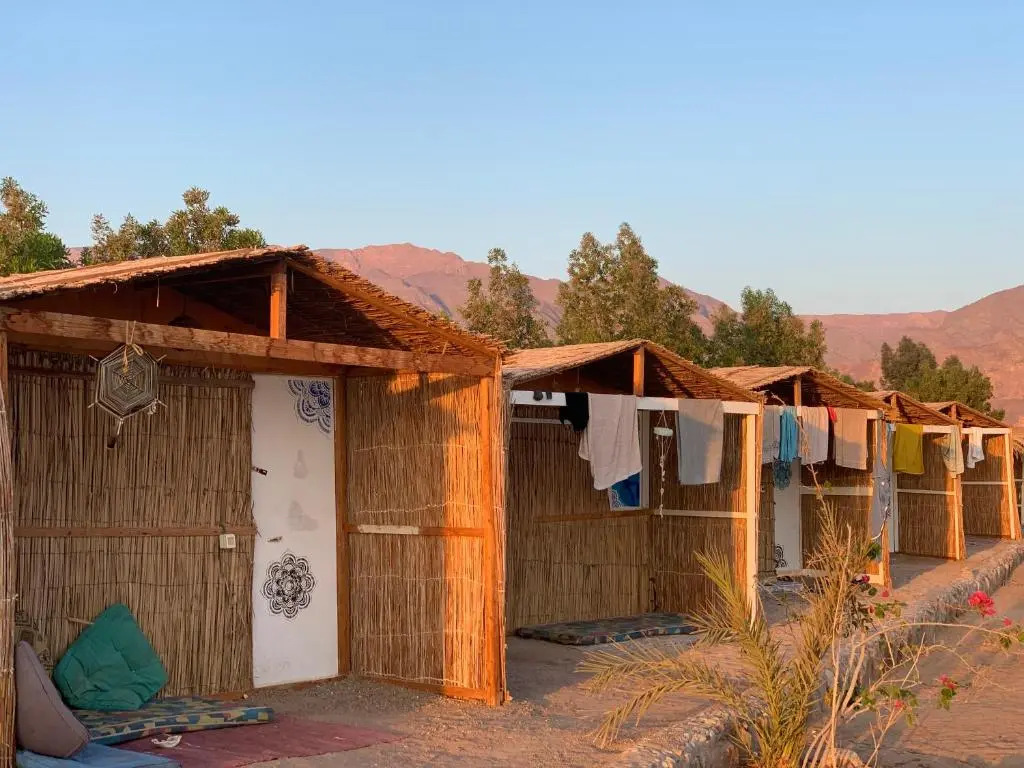 Таба: Buddha Camp