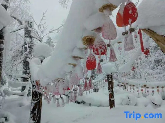 Харбин: Liu family compound in Snow Valley