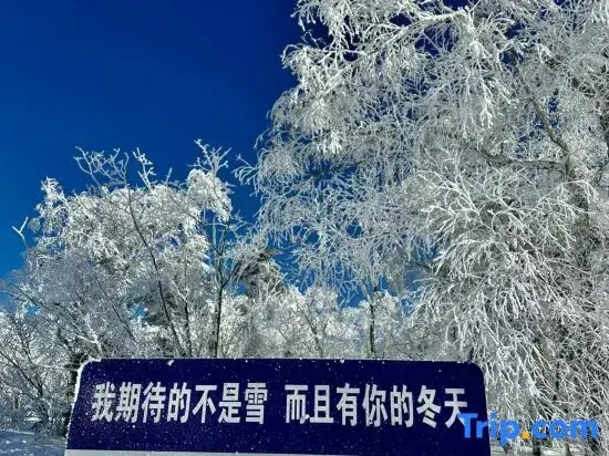 Харбин: Liu family compound in Snow Valley
