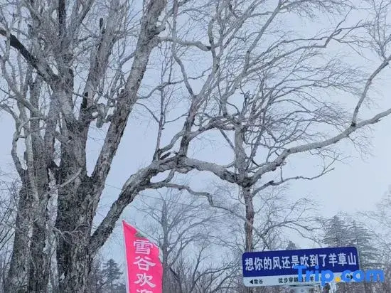 Харбин: Liu family compound in Snow Valley