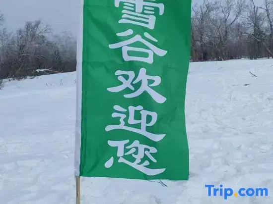 Харбин: Liu family compound in Snow Valley