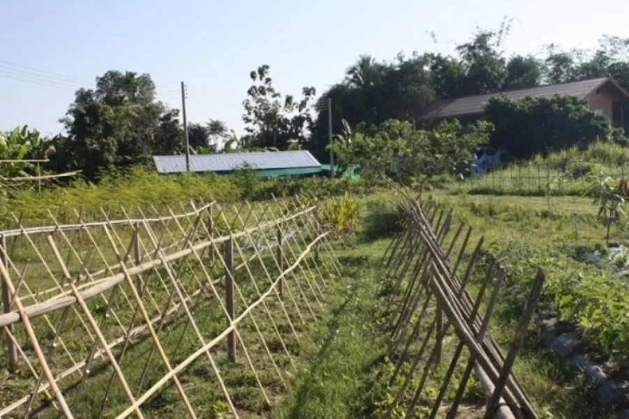 Сан-Патонг: Sanpatong Farm Stay
