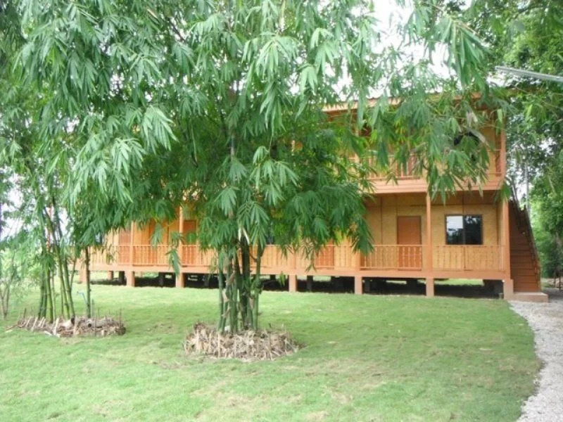 Сан-Патонг: Sanpatong Farm Stay