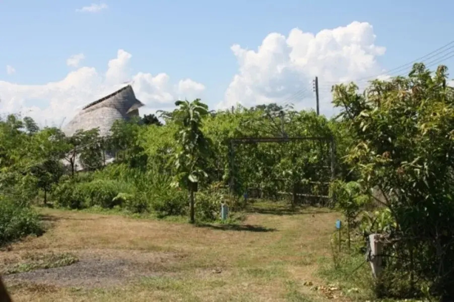 Сан-Патонг: Sanpatong Farm Stay