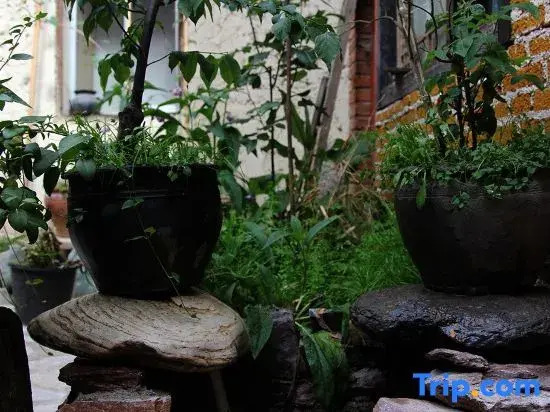 Шангри-Ла: Rainy Sunshine Hostel