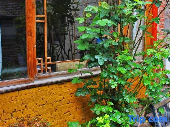 Шангри-Ла: Rainy Sunshine Hostel