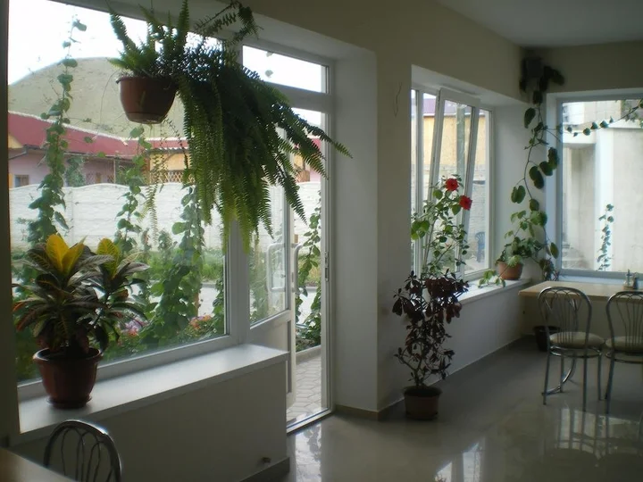 Судак: Guest House Viktoria