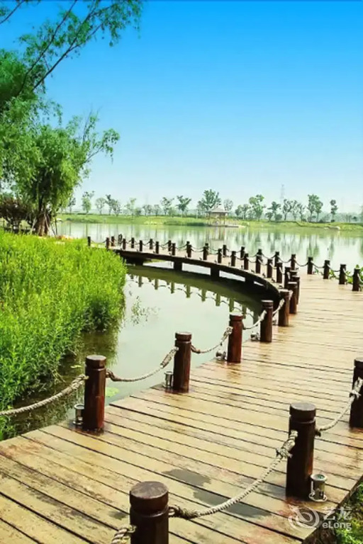 Duodao: Phoenix Hotel