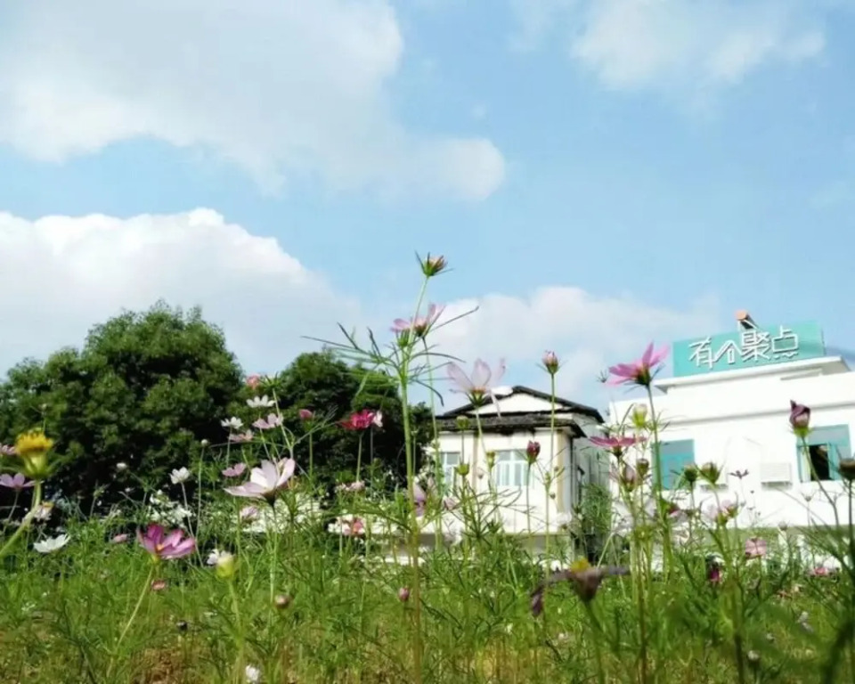 Шаогуань: Kiwi Homestay Danxia No1