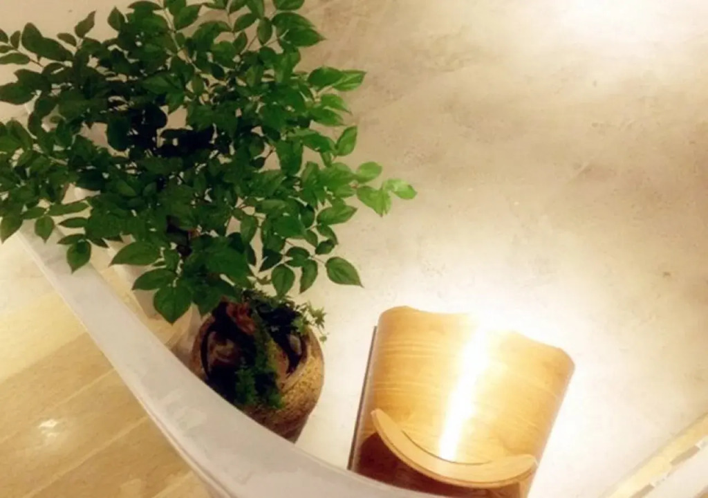 Сямынь: Xiamen Zengcuoan Number 33 Hostel