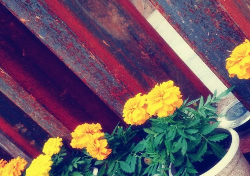 Сямынь: Xiamen Zengcuoan Number 33 Hostel