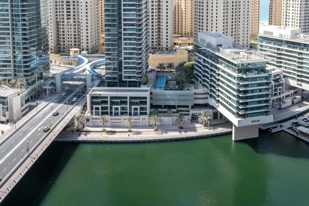 GuestReady - Concrete Jungle — фото 1
