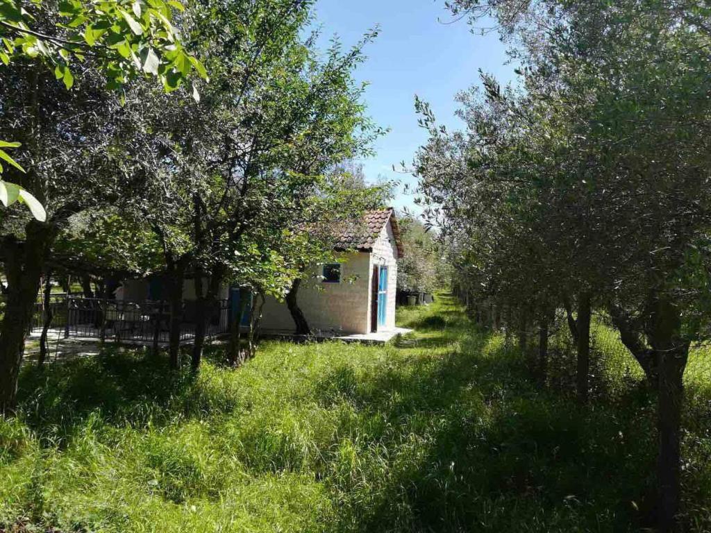 Ульцинь: Rajana Bungalow 2