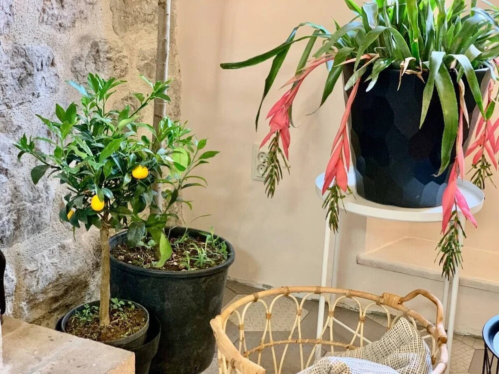 Доброта: Maison du Sud / Apartment 3 Bed. in old Town Kotor