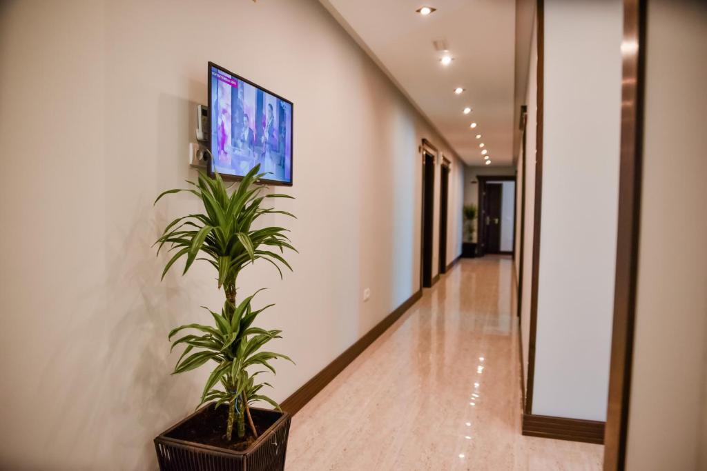 Ульцинь: Padam Hotel & SPA