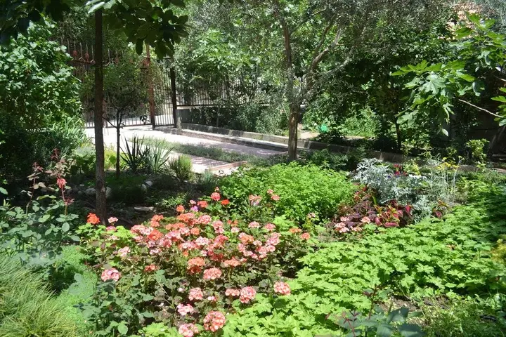 Ялта: Apartments Masandra