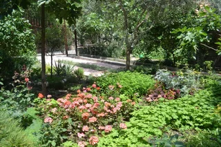 Ялта: Apartments Masandra