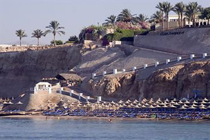 Шарм-эш-Шейх (Шарм-эль-Шейх): Iberotel Fanara Residence