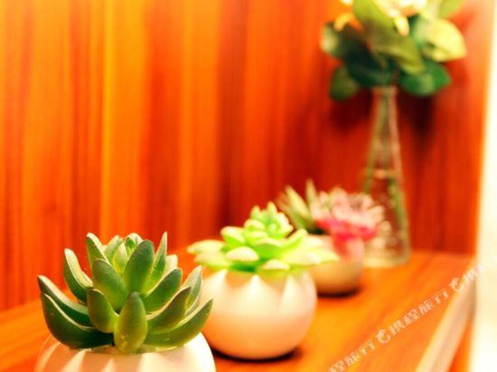 Ухань: Elan Inn Wuhan Miaoli Road Children's Hospital