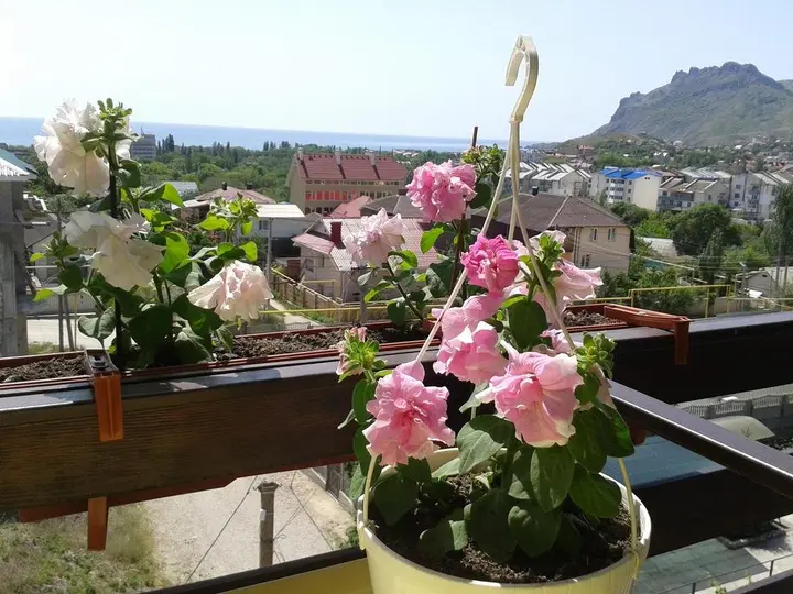 Коктебель: Uyut Guest House