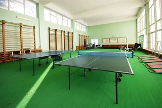 Гаспра: Rodina (Gaspra)