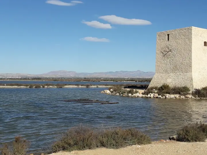 Алушта: Апартаменты Santa Pola Carmen