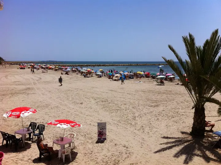Алушта: Апартаменты Santa Pola Carmen