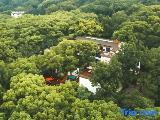 Чжоушань: Putuoshan Temple