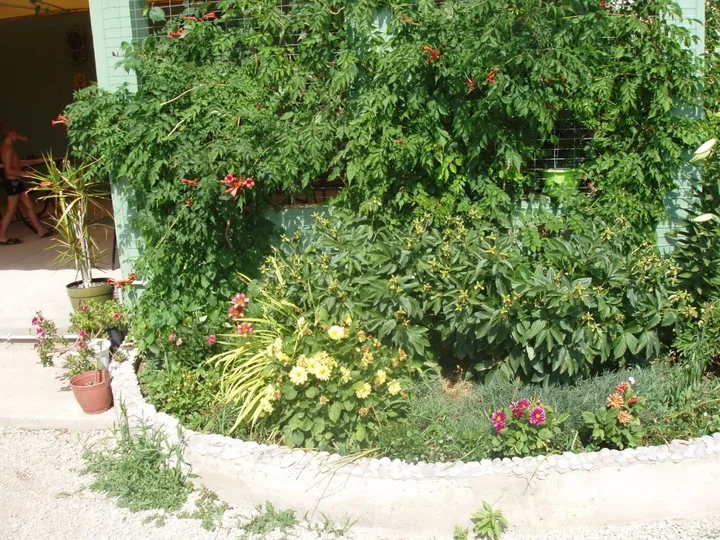 Николаевка: Izumrud Mini-Hotel