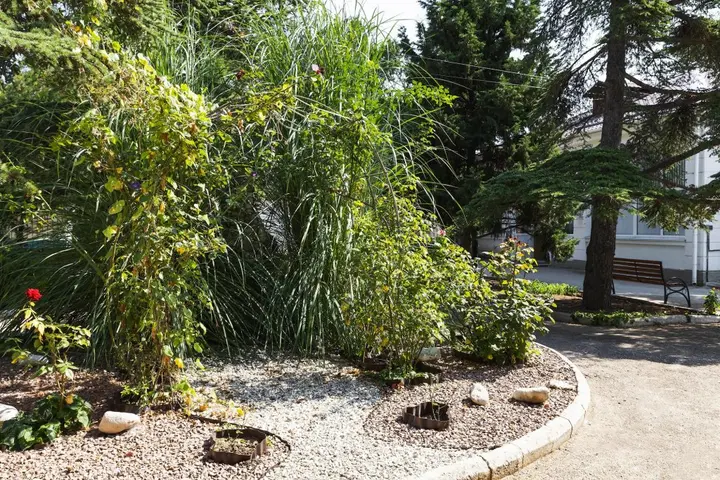 Евпатория: Санаторий Прибой