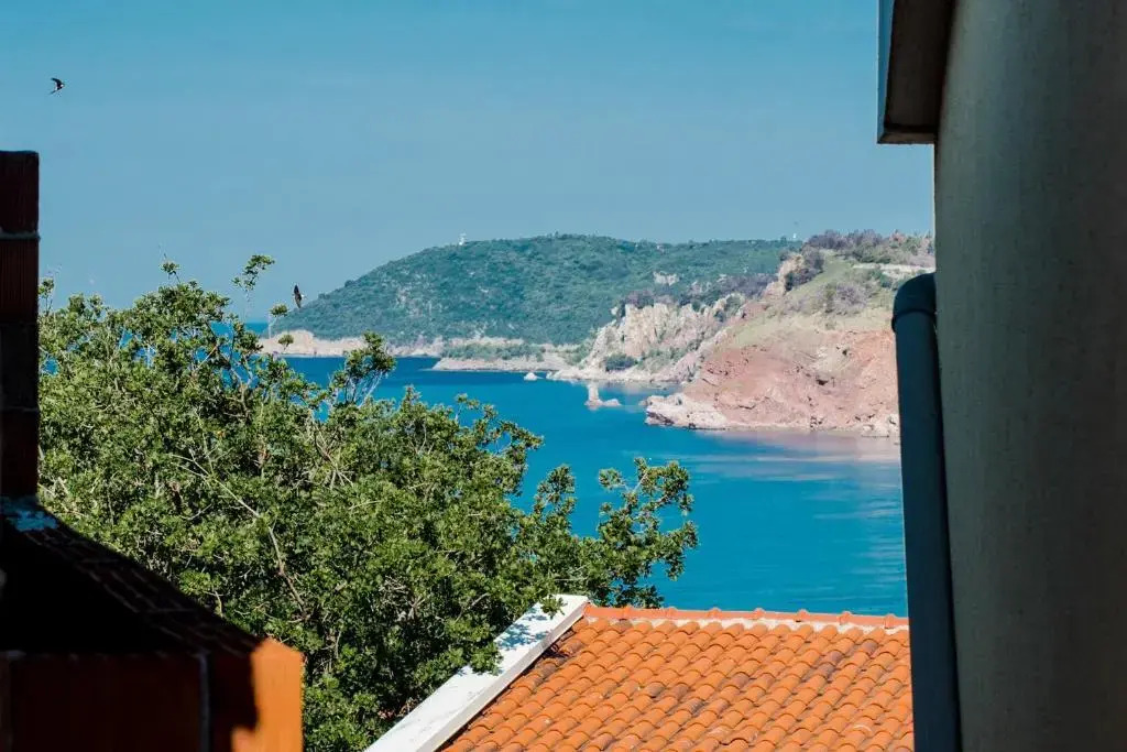 Сутоморе: Guest House Vukmarkovic