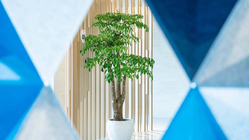 Янгиианг: Holiday Inn Express Yangjiang City Center