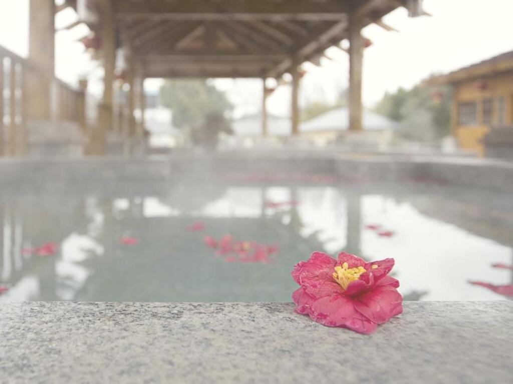 Чжэньцзян: Country Garden Phoenix Hotel Nanjing