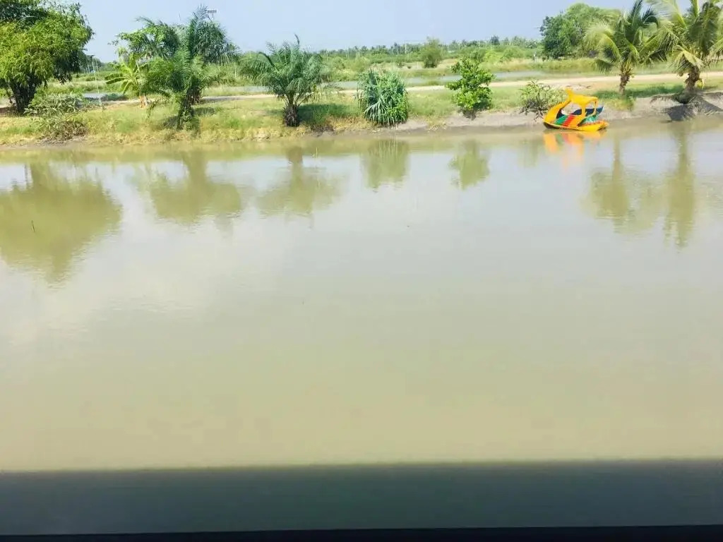 Ампхава: Saeng Tai Amphawa