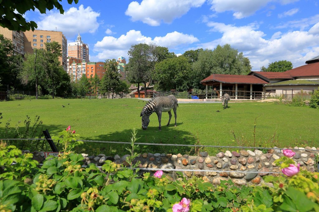 Москва: Hostel Sova