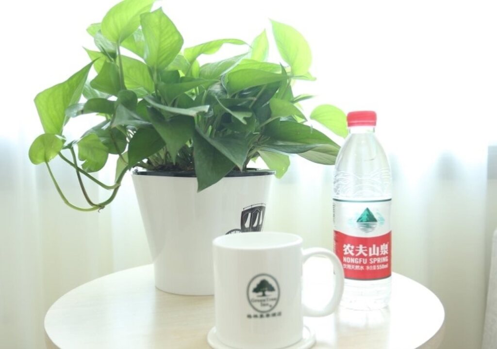 Пекин: GreenTree Inn Beijing Chaoyang District Maquanying Subway Station Express Hotel