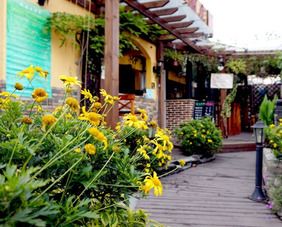 Чэнду: Chengdu Season Inn Youth Hostel