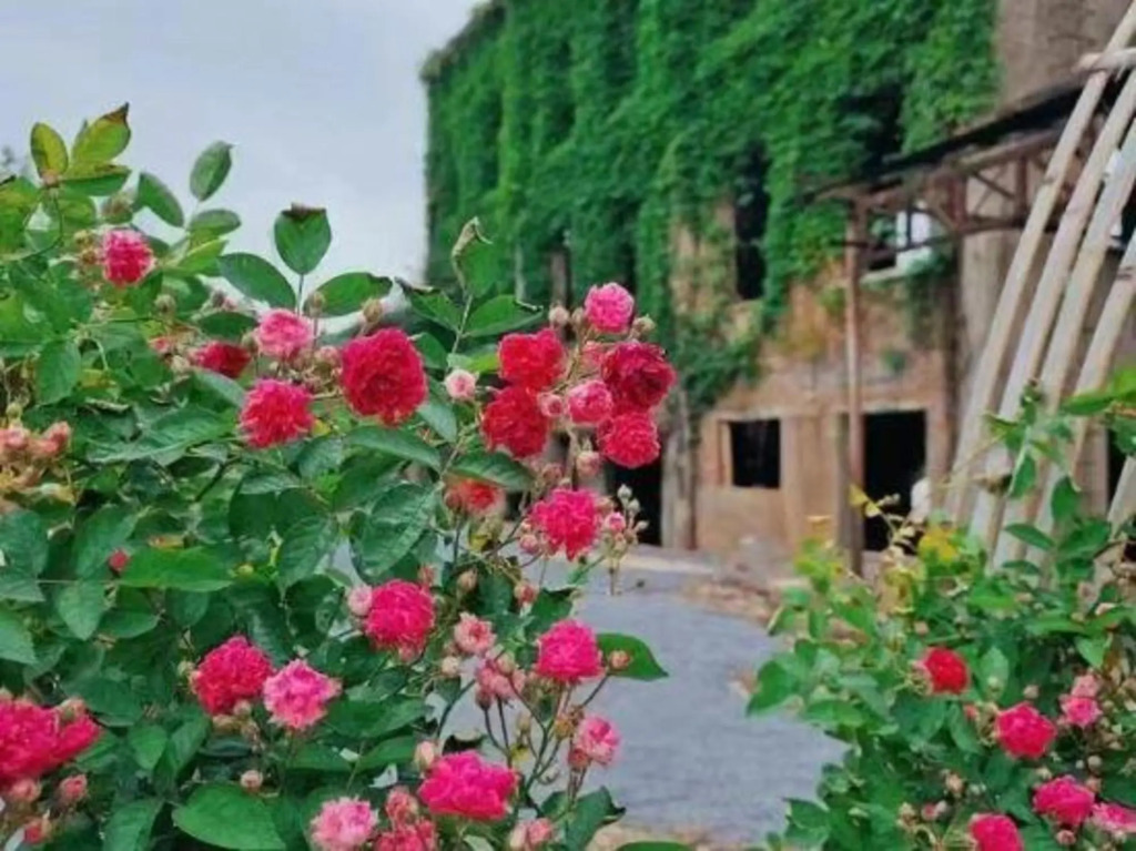 Гуйлинь: Lavande Hotel Guilin Airport Road Dongan