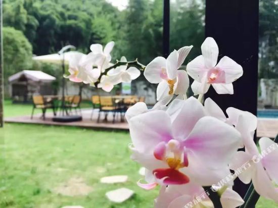 Хучжоу: July Bamboo Hostel