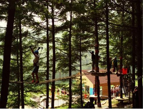 Чжанцзякоу: Zhangjiakou Dolomiti White Birch Hotel