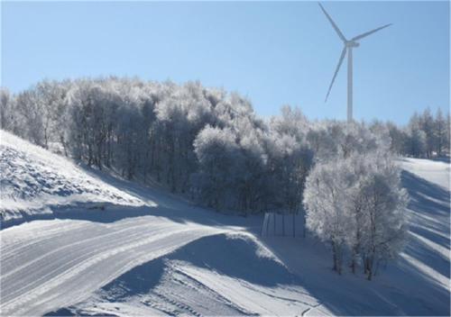 Чжанцзякоу: Zhangjiakou Dolomiti White Birch Hotel